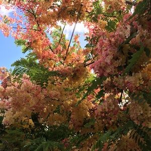 Meet your Posher, Nathalie